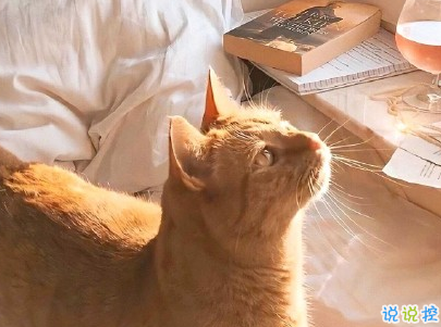 幽默風(fēng)趣的早安心語帶圖片 開心一笑早安句子4