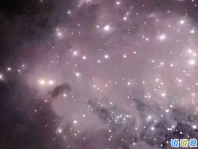 幽默風(fēng)趣的早安心語帶圖片 開心一笑早安句子13