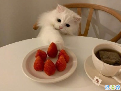 幽默風(fēng)趣的早安心語帶圖片 開心一笑早安句子11