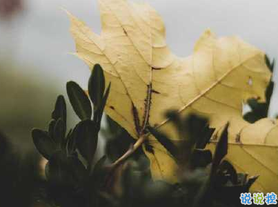 幽默風(fēng)趣的早安心語帶圖片 開心一笑早安句子6