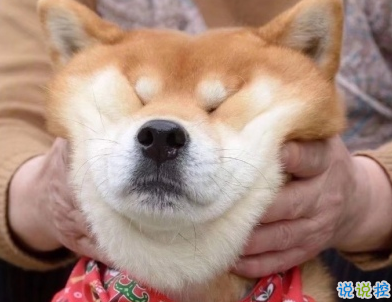 朋友圈沙雕文案2020 超級皮笑死人的說說1