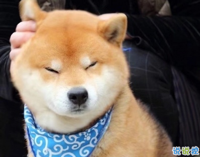 朋友圈沙雕文案2020 超級皮笑死人的說說2