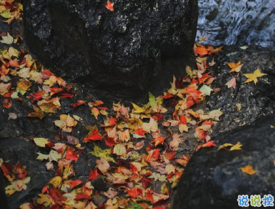 大寒微信朋友圈說說帶圖片 2020大寒節(jié)氣說說經(jīng)典4