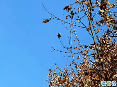 大寒微信朋友圈說說帶圖片 2020大寒節(jié)氣說說經(jīng)典3