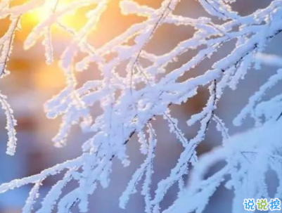 2020最新大寒句子帶圖片 大寒祝福語(yǔ)經(jīng)典一句話14