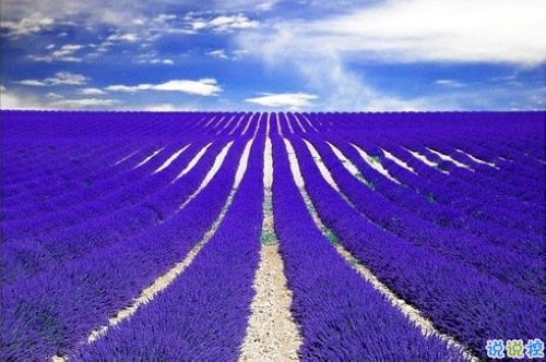 愛錯(cuò)了人換來一身傷痕的說說大全 親身經(jīng)歷愛情得到的經(jīng)典傷感說說4