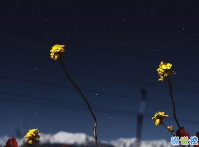 今天心情特不好的說說 心里不開心的傷感句子1