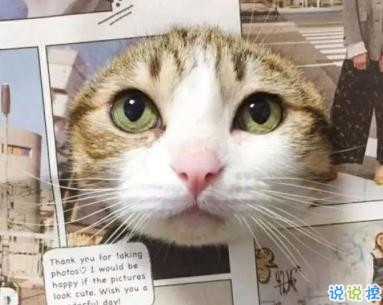 快手搞笑有趣句子合集 別跟我談感情多傷錢啊1