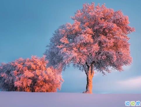 森系文藝唯美小句子 適合朋友圈的文藝說說1