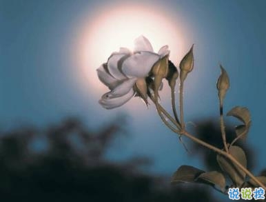 2020情人節(jié)傷心說說心情 214情人節(jié)心情很不好的說說1