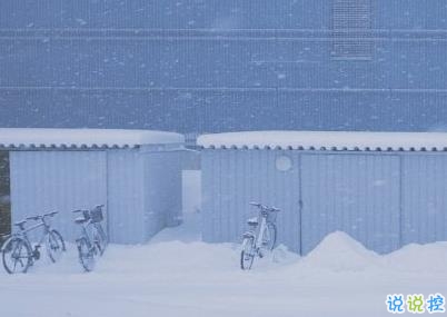 下雪天文藝小句子 下雪了有意境的說說1