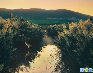 女生朋友圈傷心說說帶圖片 想不開很難過的心情說說2