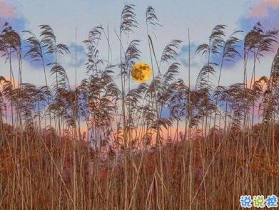 女生朋友圈傷心說說帶圖片 想不開很難過的心情說說4