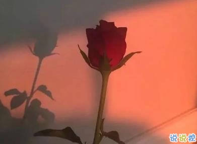 女生朋友圈傷心說說帶圖片 想不開很難過的心情說說12