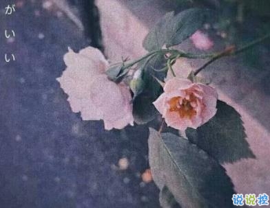 一句話傷心說說心情帶圖片 越想忘記越難忘記10