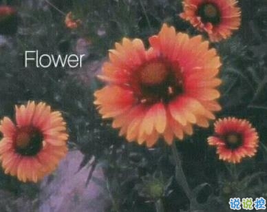 一句話傷心說說心情帶圖片 越想忘記越難忘記8