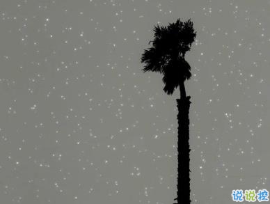 一句話傷心說說心情帶圖片 越想忘記越難忘記9