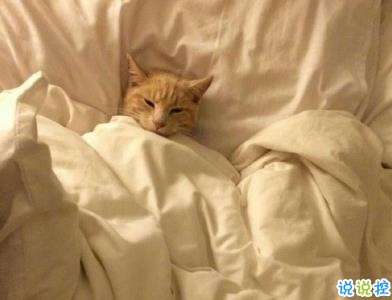 朋友圈幽默霸氣說說帶圖片 是金子會發(fā)光何況我是鉆石3