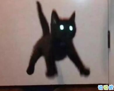 朋友圈幽默霸氣說說帶圖片 是金子會發(fā)光何況我是鉆石7