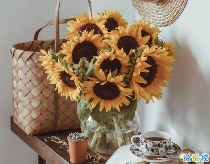 曬風(fēng)景照片的說(shuō)說(shuō)大全 一句話簡(jiǎn)短唯美的風(fēng)景句子1