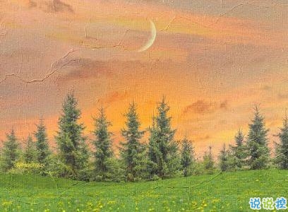 唯美文字控短句帶圖片 朋友圈唯美句子清新浪漫5