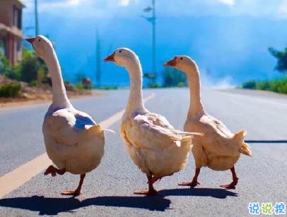 唯美文字控短句帶圖片 朋友圈唯美句子清新浪漫4