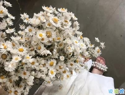 唯美文字控短句帶圖片 朋友圈唯美句子清新浪漫11