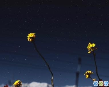 朋友圈心痛心碎的說說帶圖片 內(nèi)心疼痛的悲傷句子2