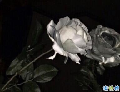 朋友圈心痛心碎的說說帶圖片 內(nèi)心疼痛的悲傷句子12