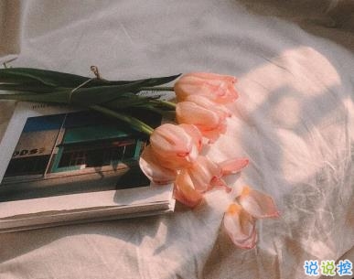 微信勵(lì)志短句精辟帶圖片 今年最火的勵(lì)志說說6