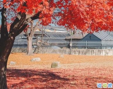 微信勵(lì)志短句精辟帶圖片 今年最火的勵(lì)志說說13