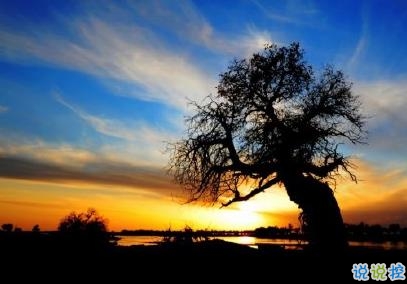 睡前發(fā)朋友圈的說說帶圖片 睡前一句話走心溫暖10