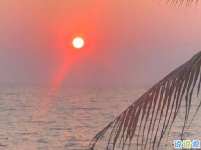 撩人浪漫的情話說說帶圖片 你這么甜我真想舔舔3