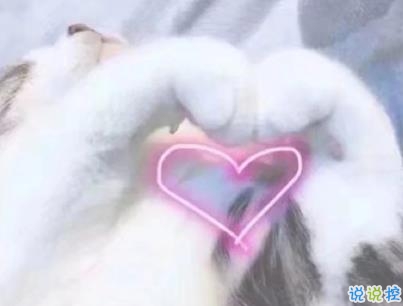 撩人浪漫的情話說說帶圖片 你這么甜我真想舔舔11