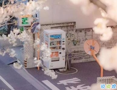 特別美好的句子合集 唯美詩(shī)意句子吸引人1