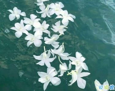 清新好聽(tīng)的英文句子 微信英文說(shuō)說(shuō)唯美氣質(zhì)1