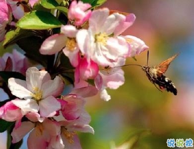 2020三月加油說說大全 三月一起加油奮斗的句子1