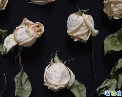 男人最成熟的一句話 成熟經(jīng)典句子帶圖片8