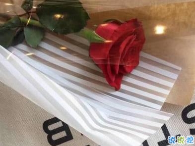 很美有意境的句子 美到骨子里的說說句子1