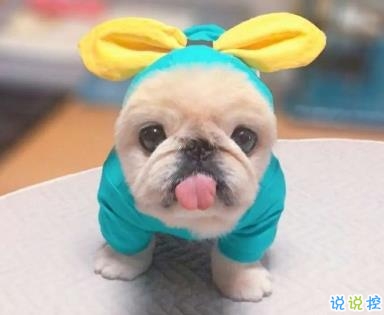 熱門搞笑幽默說說句子 適合發(fā)動態(tài)的幽默句子1