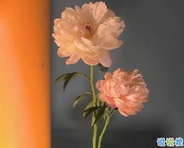 最暖心高級的情話句子 一個你一顆心一心一意1