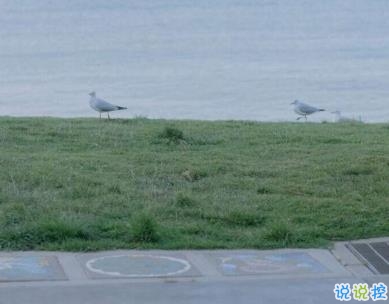 微信驚蟄說說帶圖片 驚蟄節(jié)氣優(yōu)美句子20202