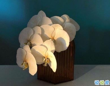 微信驚蟄說說帶圖片 驚蟄節(jié)氣優(yōu)美句子202014