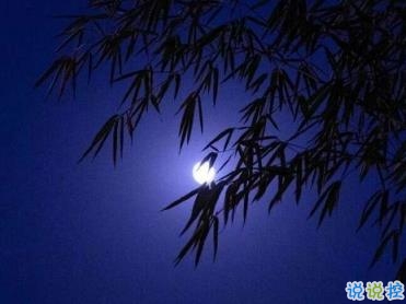 努力奮斗的句子 致拼搏路上的自己1