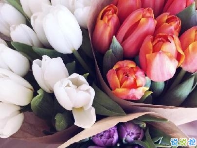 三八婦女節(jié)說說帶圖片 2020三八婦女節(jié)創(chuàng)意文案11