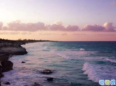 奮斗勵(lì)志的句子簡(jiǎn)短 最火八個(gè)字激勵(lì)短句1