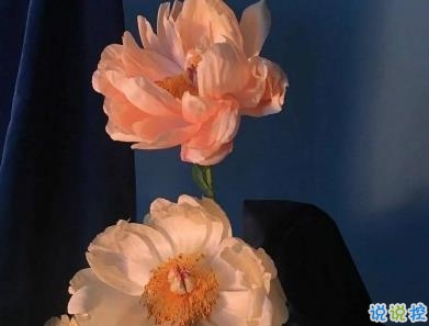 少女心的甜甜句子帶圖片 超好聽的甜句子6