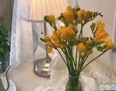 少女心的甜甜句子帶圖片 超好聽的甜句子13