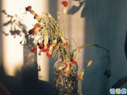 早安暖心話帶圖片 早上一句話暖心句子2