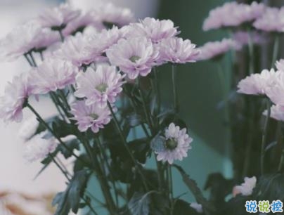 早安暖心話帶圖片 早上一句話暖心句子4